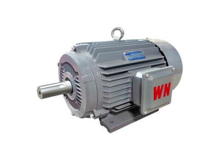 YE4 系列超(chāo)超高效(xiào)率三相(xiàng)異步電(diàn)動機