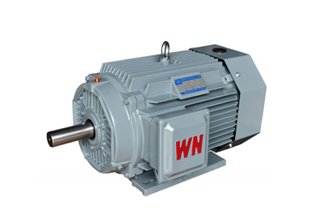 YE5系(xì)列三相異(yì)步電動機(jī)