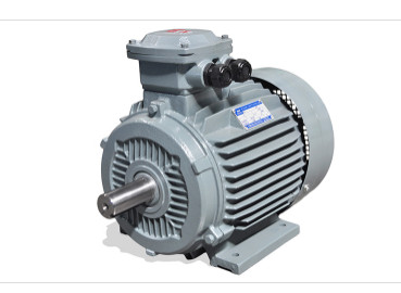 YFB3防爆(bao)三相異步(bù)電動介紹(shao)