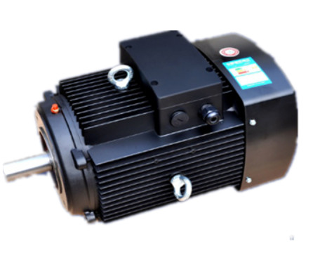 YE3系列(lie)多級泵(beng)專用電(dian)機