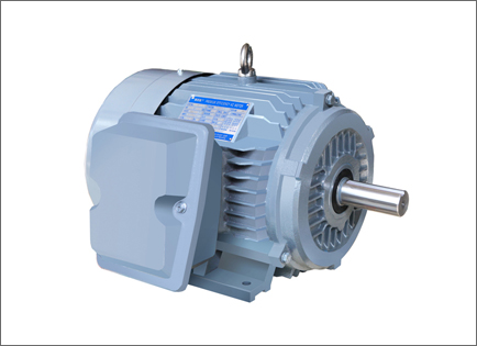 NE系列高(gāo)效高轉(zhuan)矩三相(xiàng)異步電(dian)動機