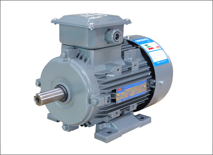 YXL系列(lie)高效率(lü)鋁機殼(ke)三相異(yi)步電動(dong)機