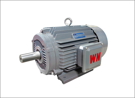 YE3系列(liè)超高效(xiao)三相異(yì)步電動(dòng)機