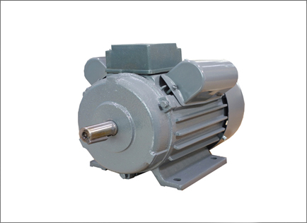 YL系列(lie)雙值電容(róng)異步電動(dong)機