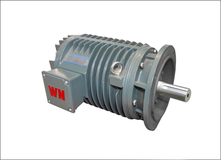 YG系列輥道(dao)用調速三相(xiang)異步電動機(ji)