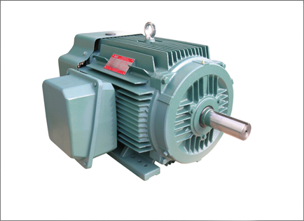 NEP系列(lie)超高效(xiao)率三相(xiàng)異步電(dian)動機