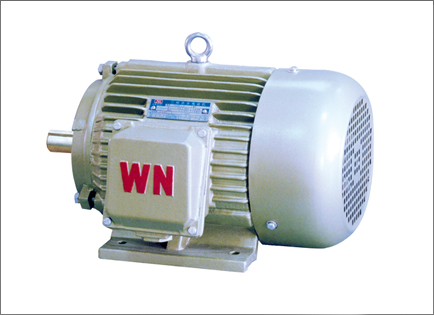 YD2系列變(biàn)多速三相(xiàng)異步電動(dòng)機
