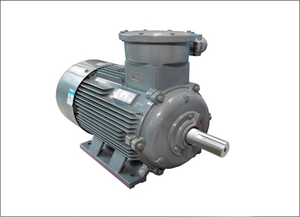 YBX3系列高效(xiào)率隔爆型三相異(yì)步電動機