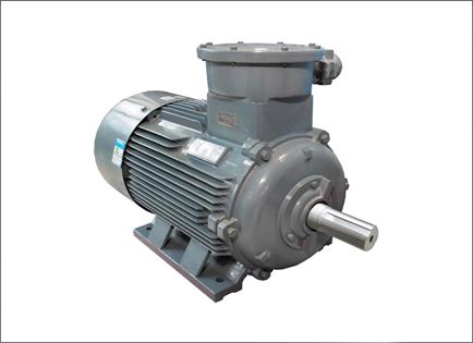 YBX4系列超(chao)高效率隔(gé)爆型三相(xiàng)異步電動(dòng)機