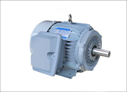 NE系列高(gāo)效高轉(zhuǎn)矩三相(xiàng)異步電(dian)動機
