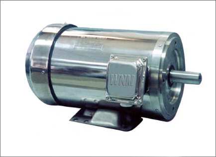 NS系列超(chāo)高效不鏽(xiù)鋼三相異(yi)步電動機(jī)