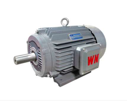 如何(hé)确定高效節能電(diàn)機軸承更換時間(jian)