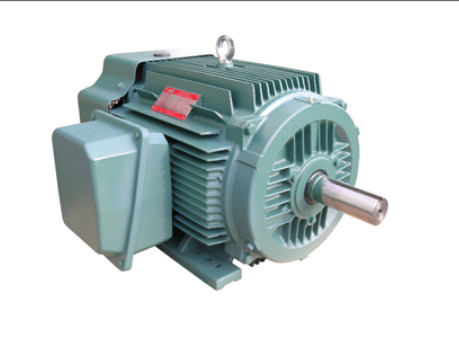 NEP系列超(chāo)高效率三(sān)相異步電(diàn)動機特點(dian)介紹