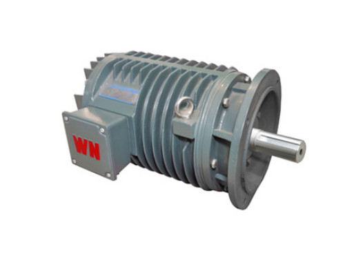 YG系列輥道(dào)用調速三(sān)相異步電(dian)動機